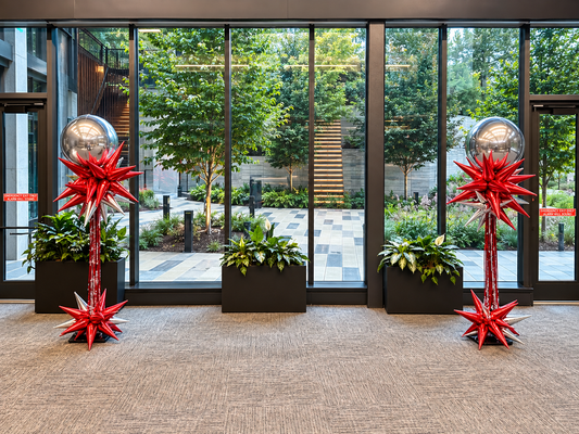 Starburst Pom-Pom Columns Balloon & Party Charlotte 129