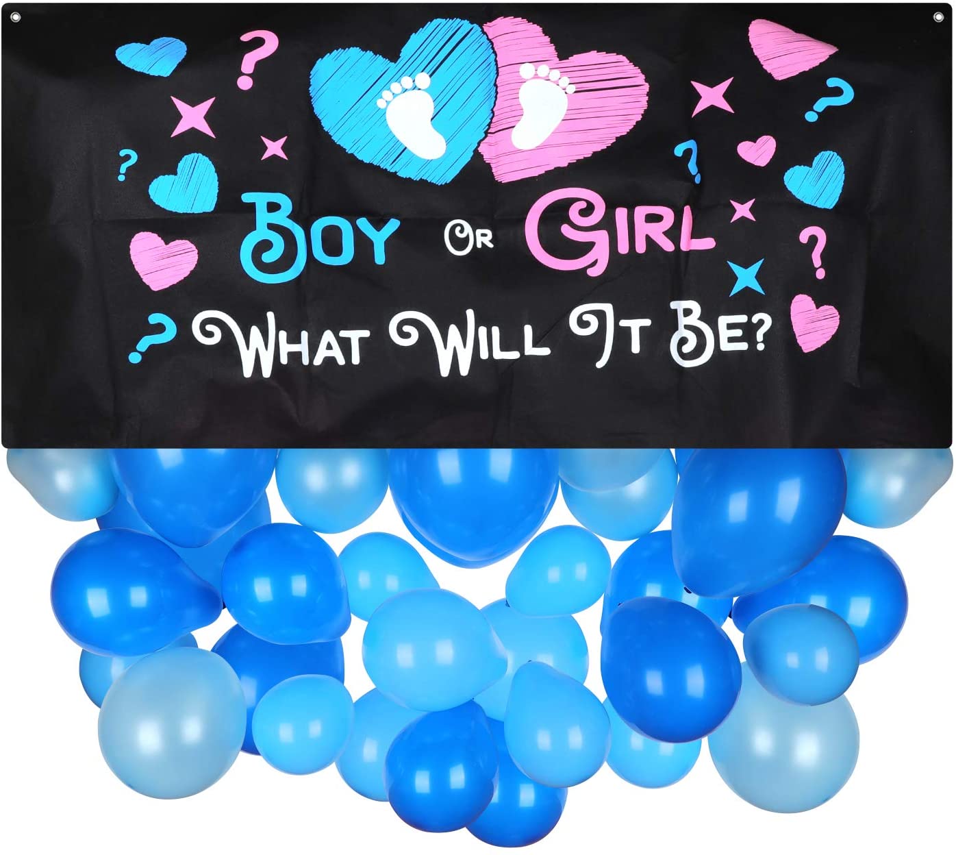 BABY GENDER REVEAL BALLOON DROP What Will It Be Boy or Girl?,
