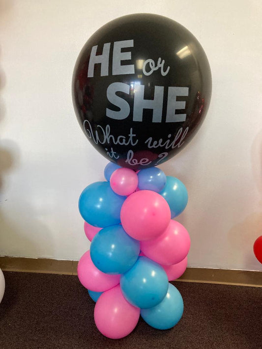 He or She What Will It Be.